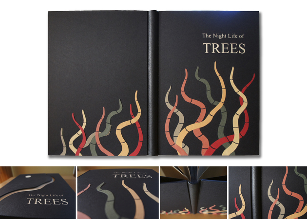 Galería de imágenes Imagina estudio creativo 6