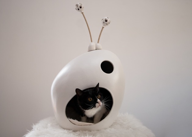 Galería de imágenes Sara Monge 3