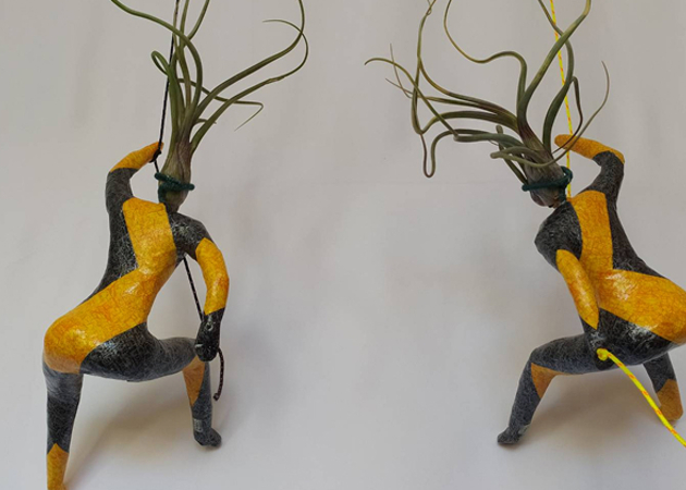 Galería de imágenes Familia Tiluz 1