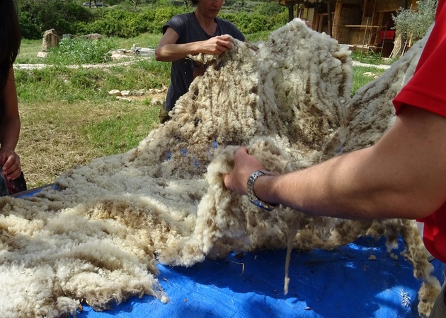 Galería de imágenes "Artesanía Mas la Llum" por Marta Fernández. 1