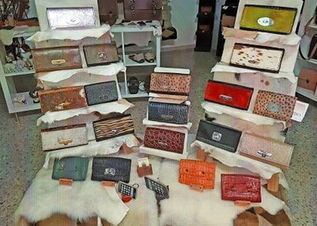 Galería de imágenes Pieles Domingo 1