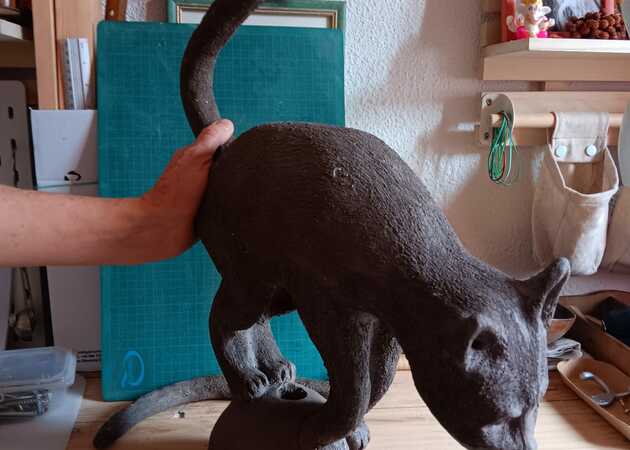 Galería de imágenes La Torneta de Pila 3