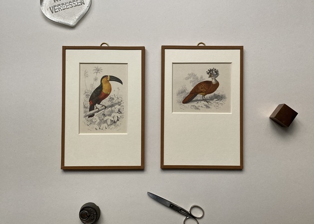 Galería de imágenes Histórica 1