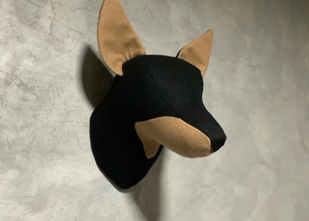 Galería de imágenes Smaap 1