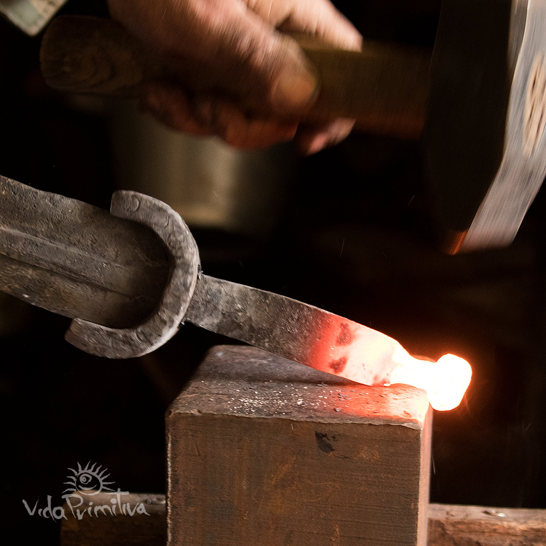 Foto de portada Vida Primitiva ®