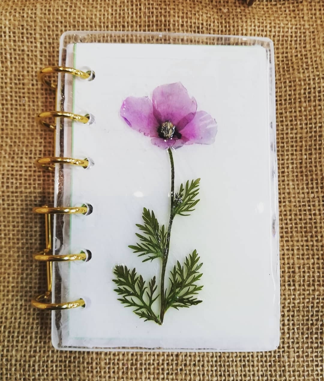 Thumbnail Terbotanic Crafts