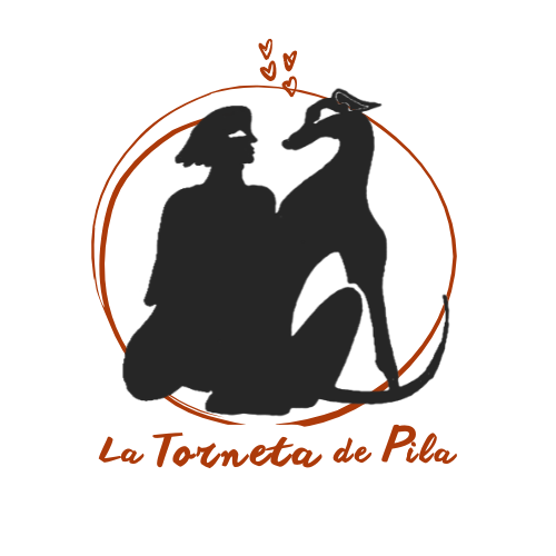 Foto de portada La Torneta de Pila